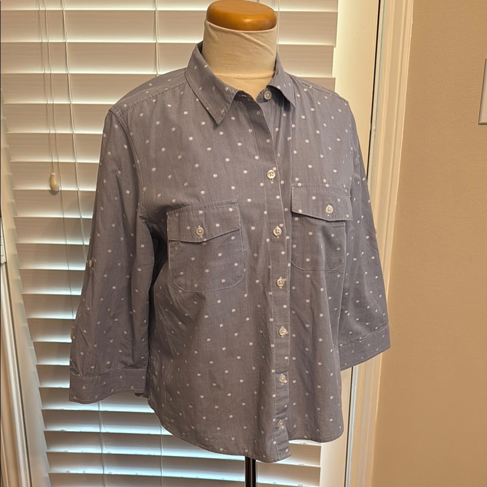 Croft & Barrow Blue Button Down with Embroidered White Polka Dots Size L